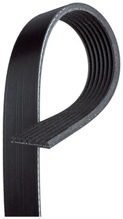 Serpentine Belt Gates K070730