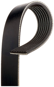 Serpentine Belt Gates K070807A