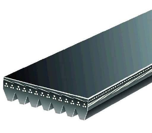Serpentine Belt Gates K071009