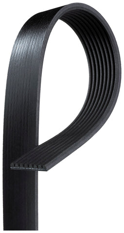 Serpentine Belt Gates K080541