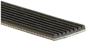 Serpentine Belt Gates K080661A