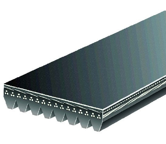 Serpentine Belt Gates K080675