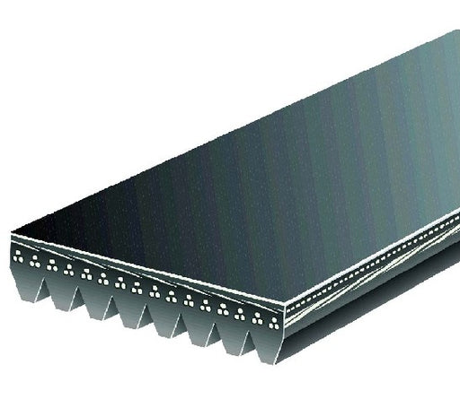 Serpentine Belt Gates K081264