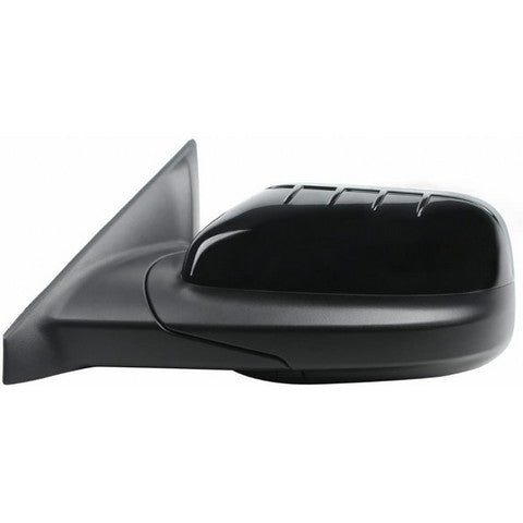 Door Mirror Pacific Auto Company M1034