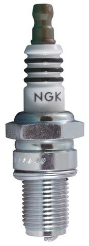 Spark Plug NGK 3006