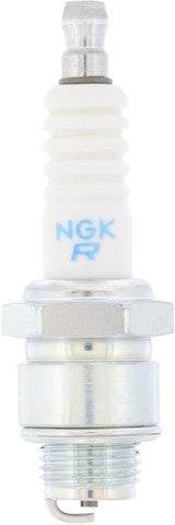Spark Plug NGK 3810