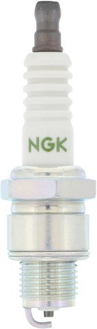Spark Plug NGK 4838