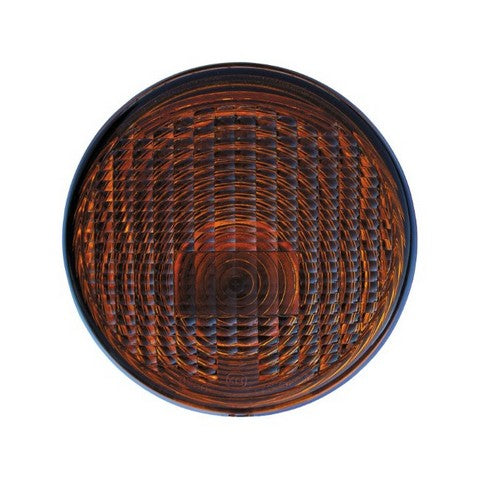 Turn Signal / Parking Light Assembly Pacific Auto Company P03053