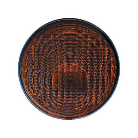 Turn Signal / Parking Light Assembly Pacific Auto Company P03054