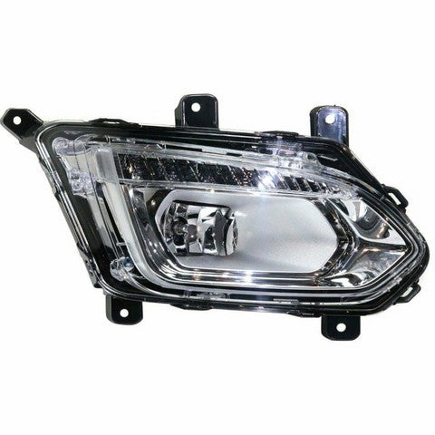 Fog Light Pacific Auto Company P10853