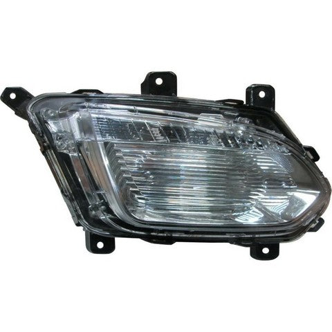 Fog Light Assembly Pacific Auto Company P10877