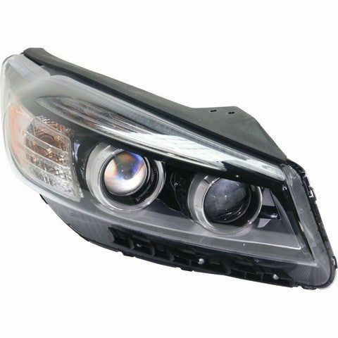 Headlight Assembly Pacific Auto Company P10953