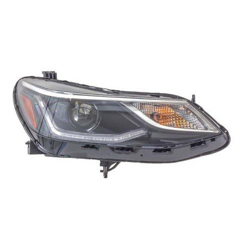 Headlight Pacific Auto Company P11589