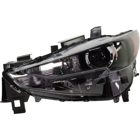 Headlight Pacific Auto Company P12926