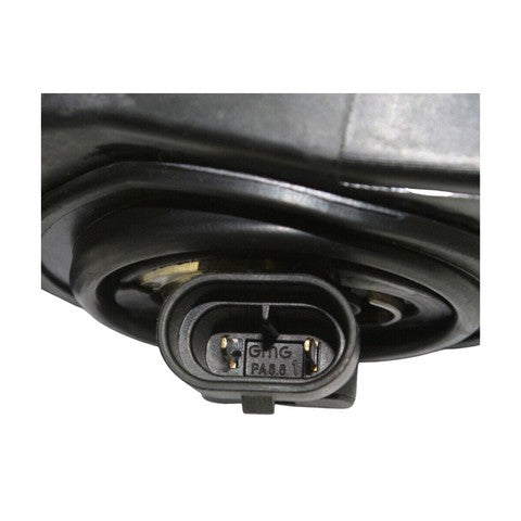 Fog Light Pacific Auto Company P13767