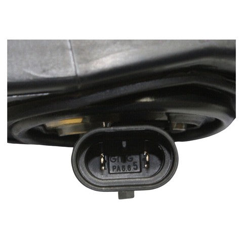 Fog Light Pacific Auto Company P13768