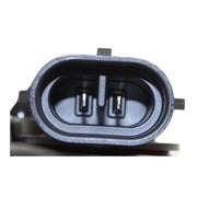 Fog Light Pacific Auto Company P13919
