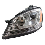 Headlight Assembly Pacific Auto Company P13976