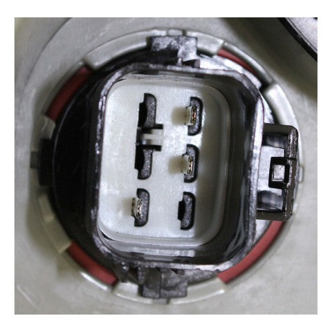 Turn Signal / Fog Light Assembly Pacific Auto Company P14182