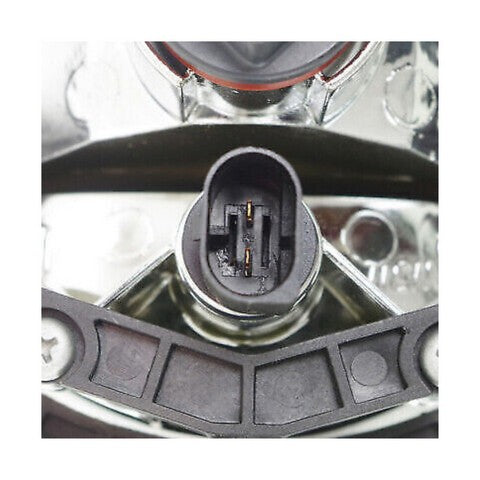 Fog Light Assembly Pacific Auto Company P14345