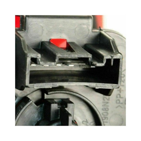 Tail Light Assembly Pacific Auto Company P14351