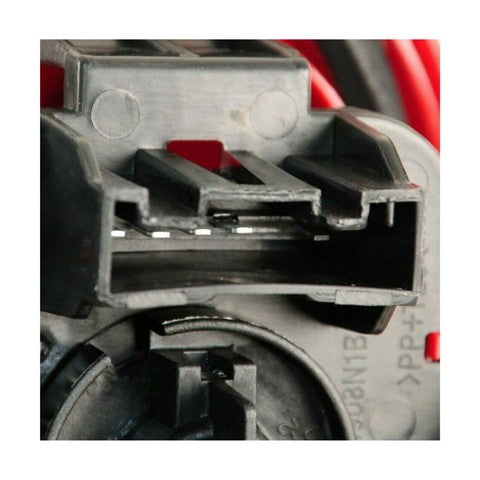 Tail Light Assembly Pacific Auto Company P14352