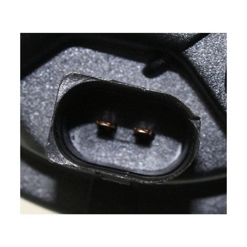 Fog Light Pacific Auto Company P14444
