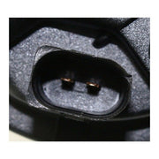 Fog Light Pacific Auto Company P14504