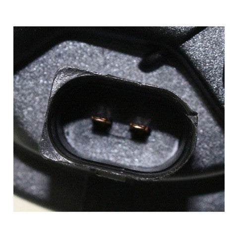 Fog Light Pacific Auto Company P14504