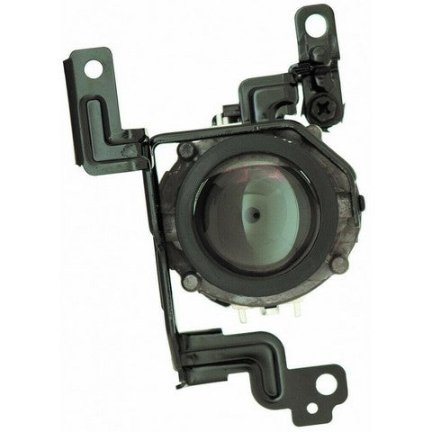 Fog Light Pacific Auto Company P17706
