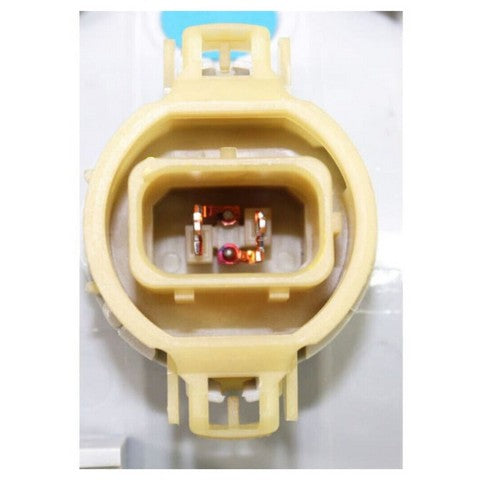 Fog Light Assembly Pacific Auto Company P18519