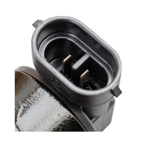 Fog Light Assembly Pacific Auto Company P18559