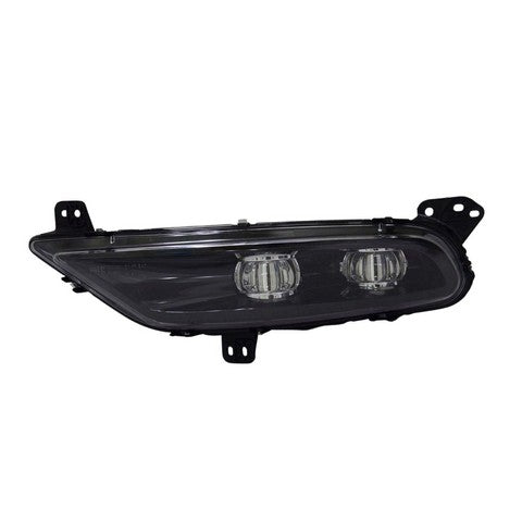 Fog Light Pacific Auto Company P18748