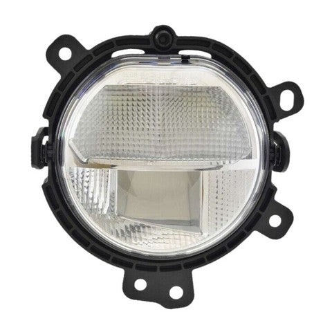 Fog Light Pacific Auto Company P19481