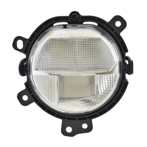 Fog Light Pacific Auto Company P19482