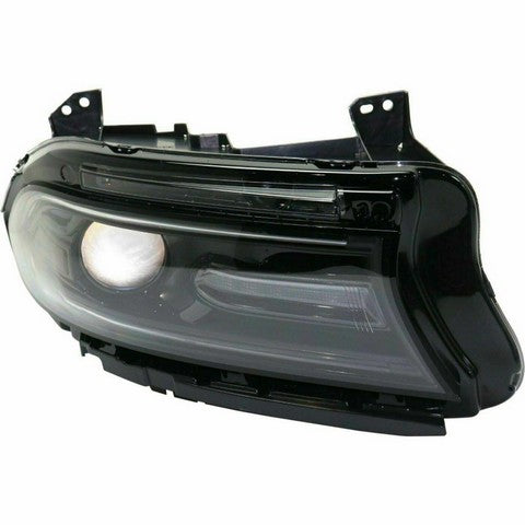 Headlight Assembly Pacific Auto Company P19765