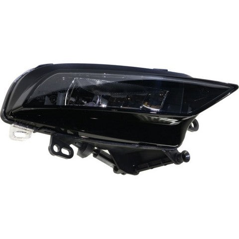 Fog Light Pacific Auto Company P20123