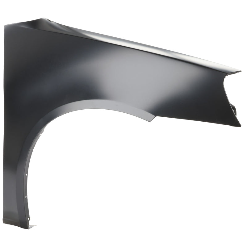 Fender CarParts P220107