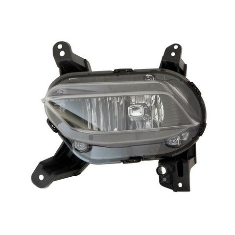Fog Light Pacific Auto Company P22928