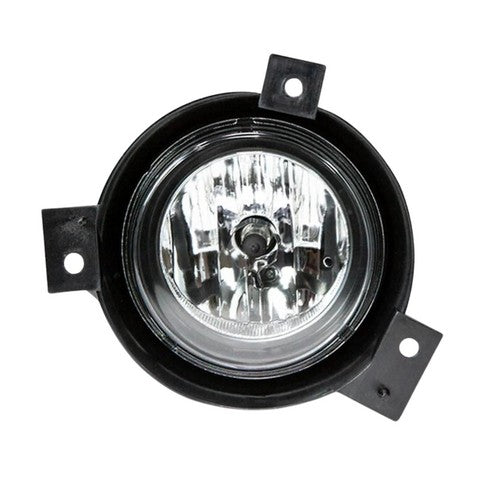 Fog Light Pacific Auto Company P251342