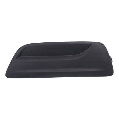 Fog Light Cover Pacific Auto Company P25854