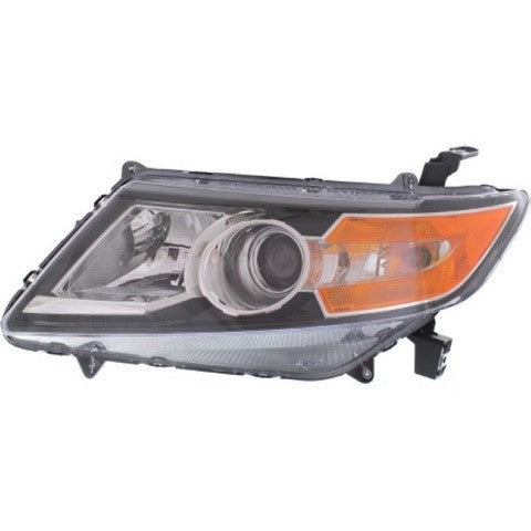 Headlight Pacific Auto Company P43856