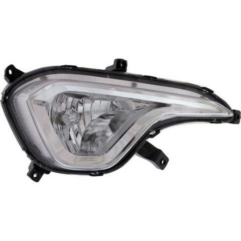 Fog Light Pacific Auto Company P48361