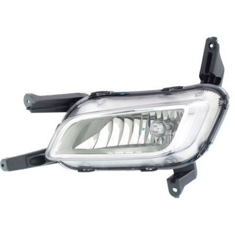 Fog Light Pacific Auto Company P48698