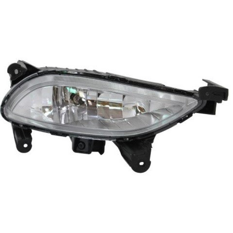 Fog Light Pacific Auto Company P48753