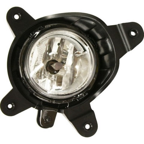 Fog Light Pacific Auto Company P495591