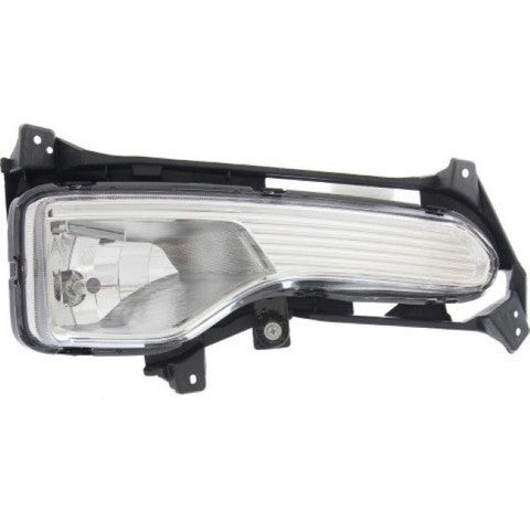 Fog Light Pacific Auto Company P50069