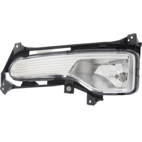 Fog Light Pacific Auto Company P50070
