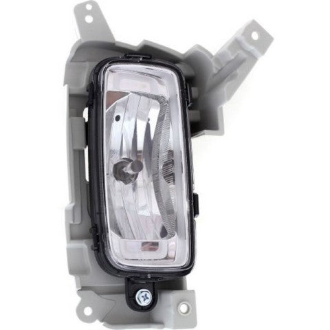 Fog Light Pacific Auto Company P50445