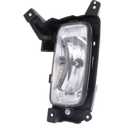 Fog Light Pacific Auto Company P50448